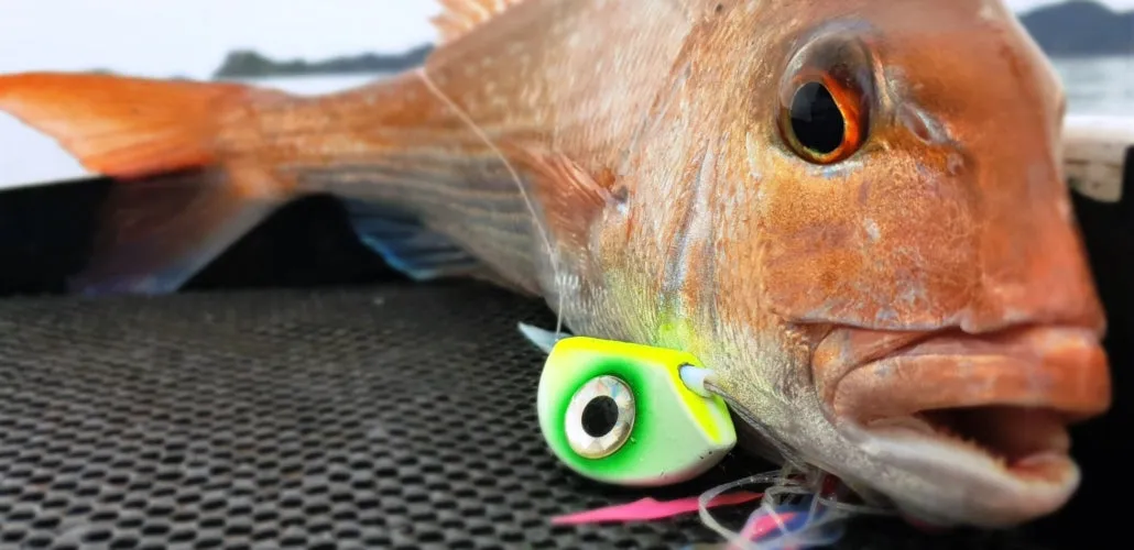 Catch Beady Eye Kabura (120g & 150g) (5 Colour Options)