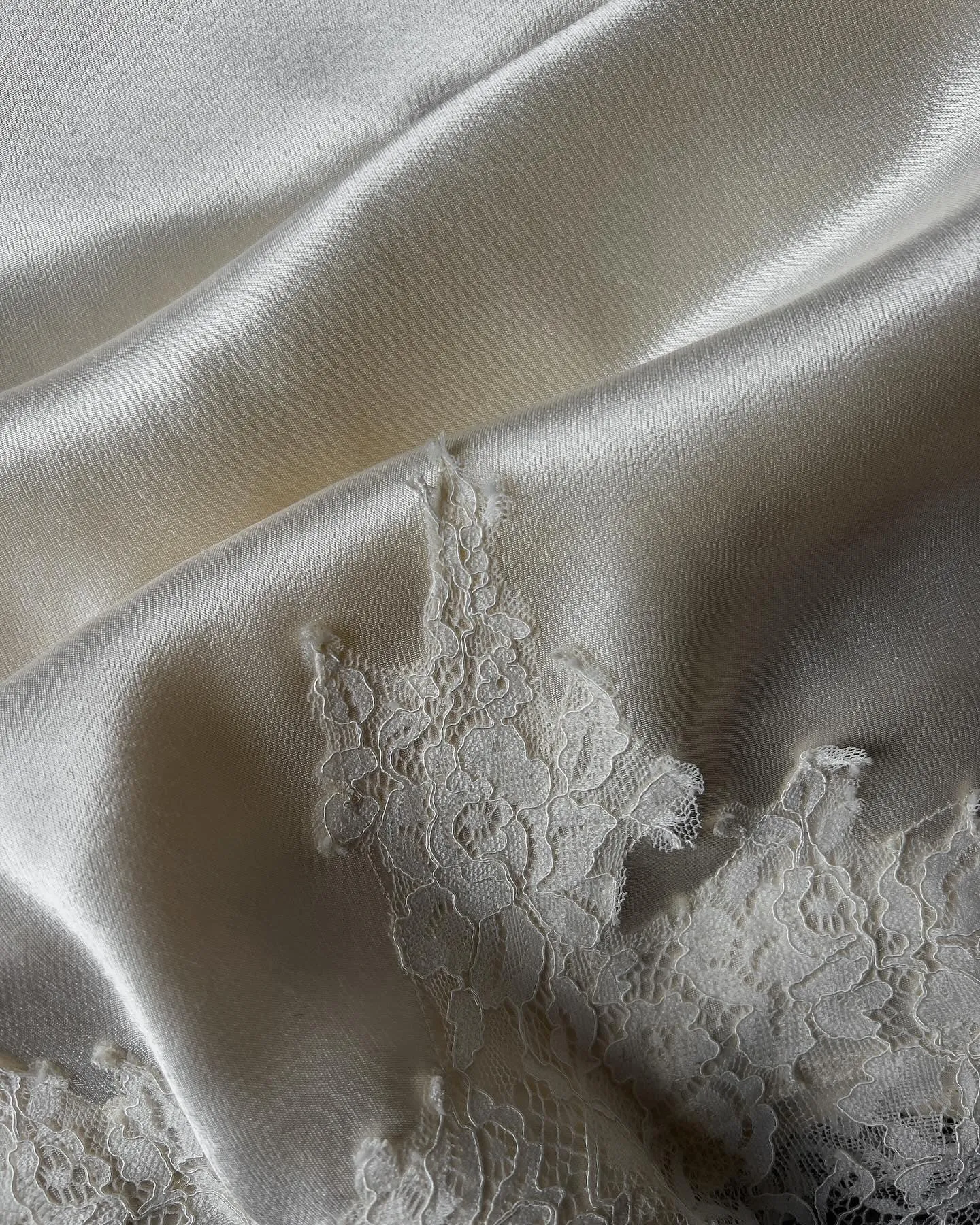 Elegant Lace Blouse