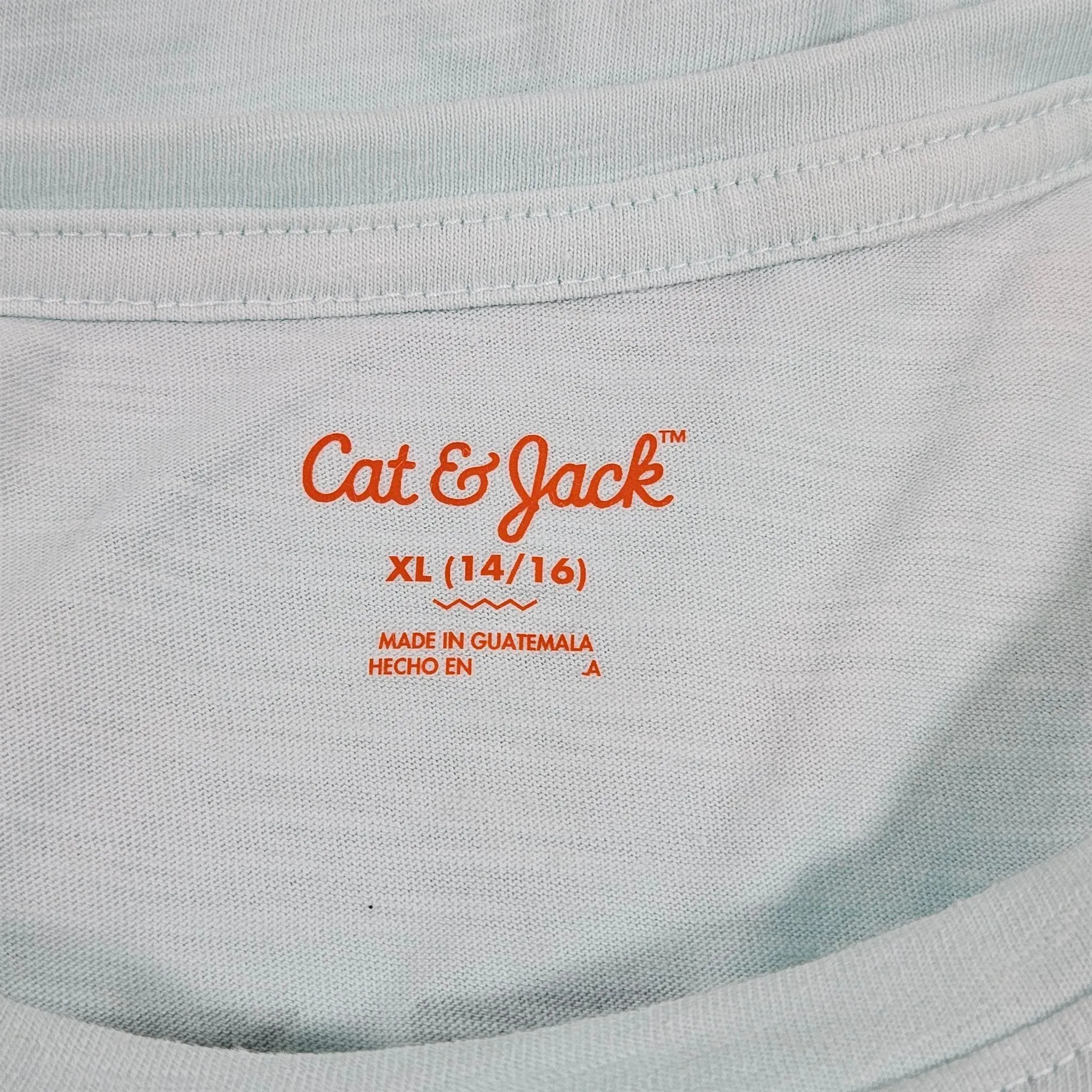 Girls' Cat & Jack XL Mint Short Sleeve Crop Graphic T-Shirt