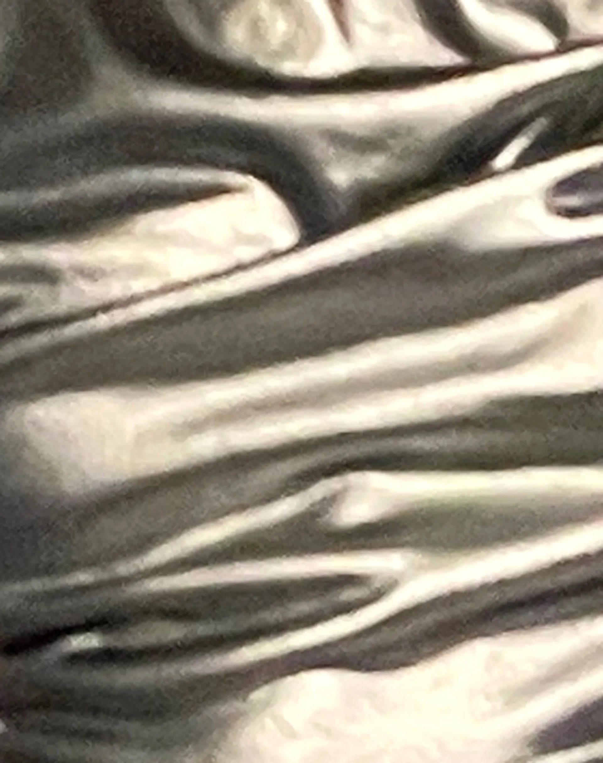 HAGNE TOP METALLIC SILVER 14