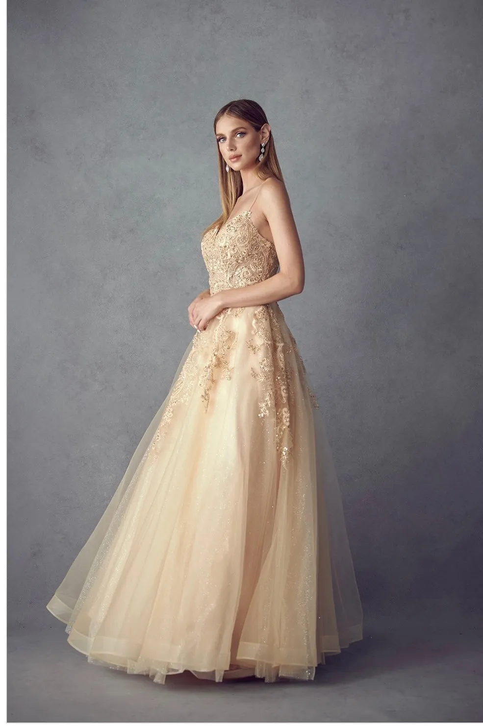 Juliet Evening Gowns 251