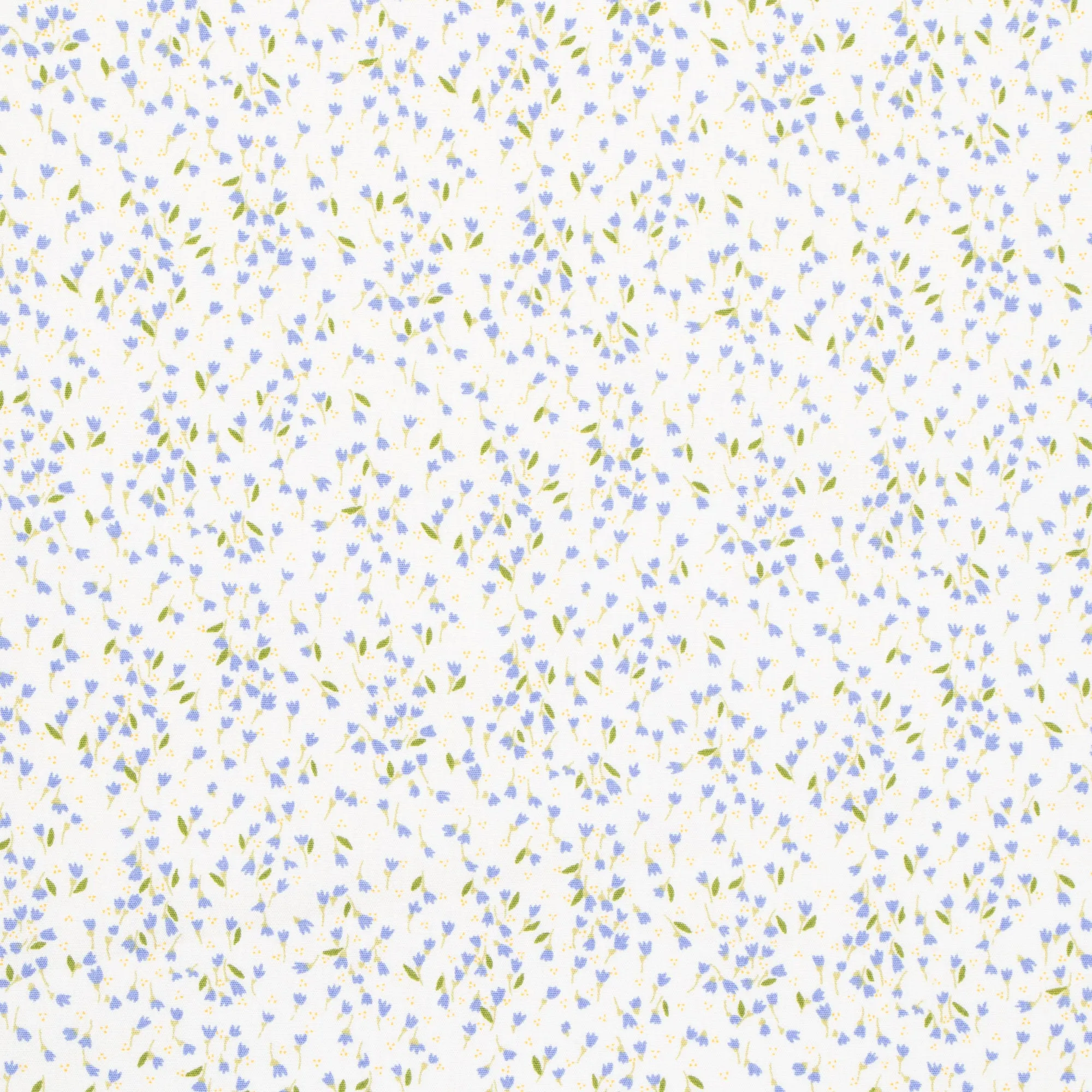 Printed Poplin Cotton 100% Des 16